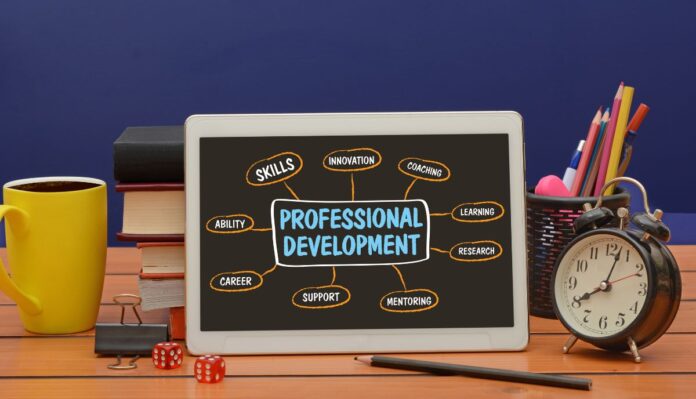 What is Professional Development Day?